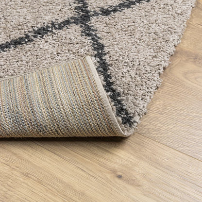 PAMPLONA long pile modern rug beige &amp; anthracite 120x170 cm